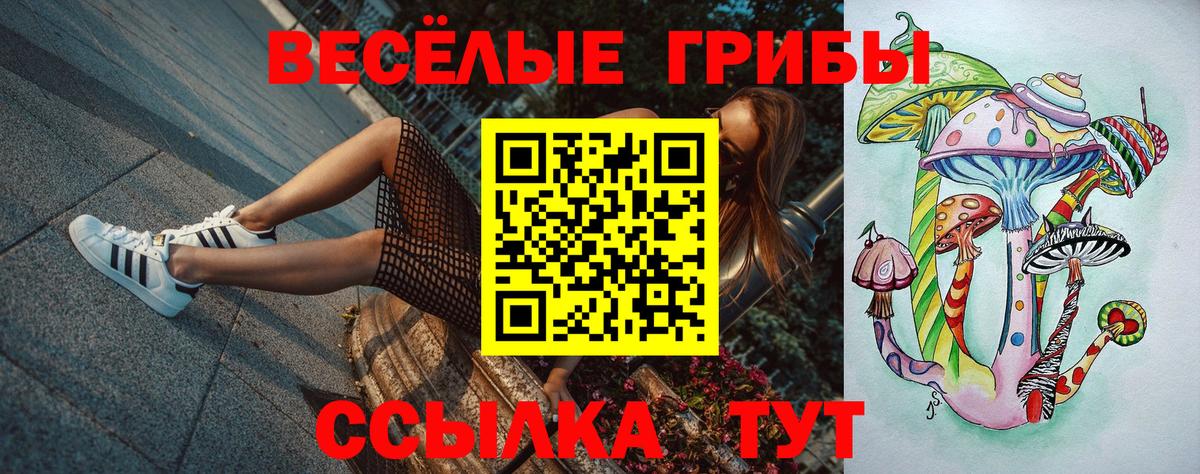 Галлюциногенные грибы MAGIC MUSHROOMS Астрахань