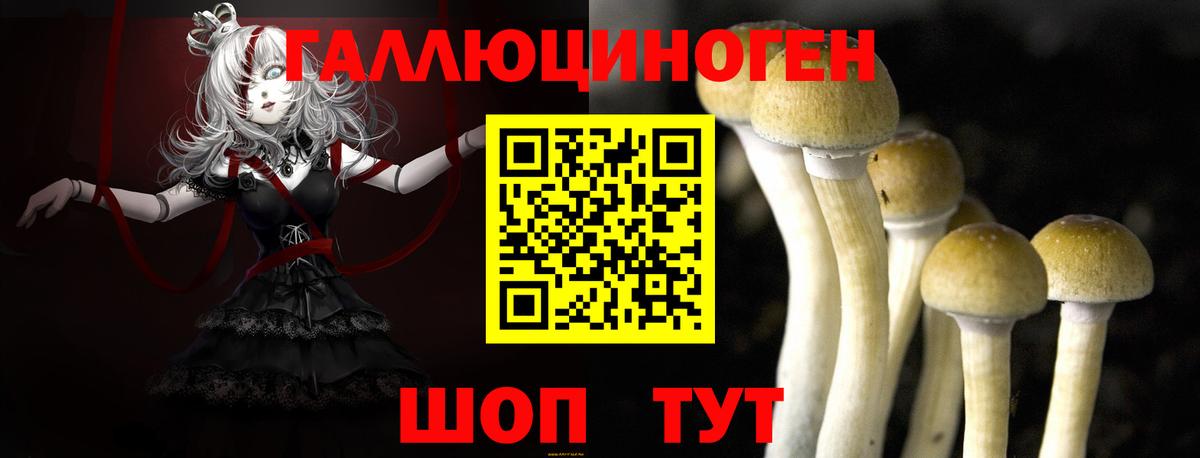 Астрахань  Псилоцибиновые грибы Magic Shrooms  Псилоцибиновые грибы Psilocybe  Вход с VPN 