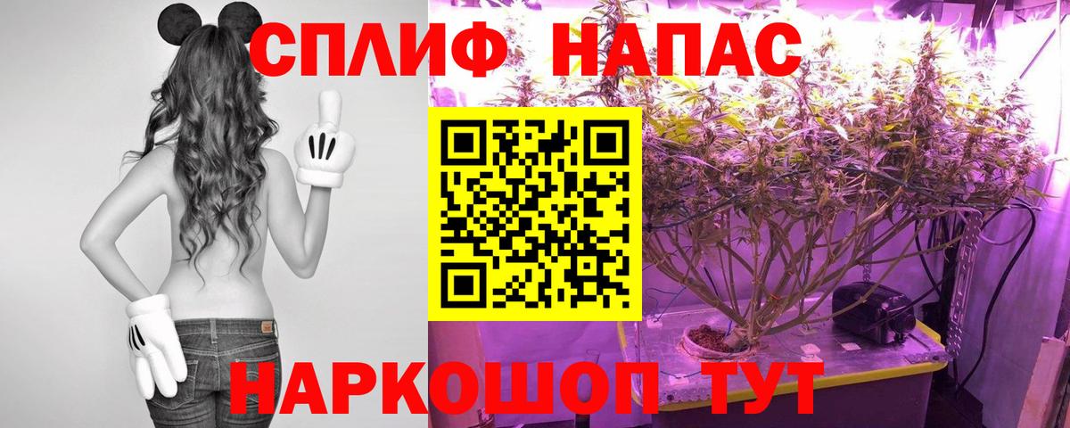 Конопля план  Шишки марихуана индика  Бошки Шишки SATIVA & INDICA  Астрахань  Каннабис тримм 